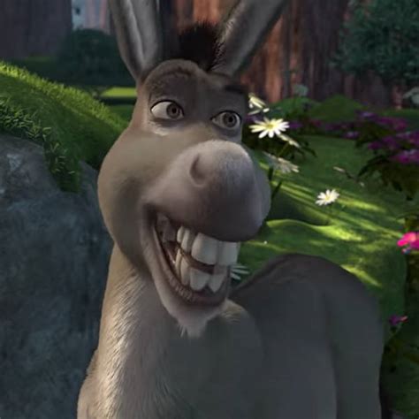 donkey voice actor|shrek 2001 cast.